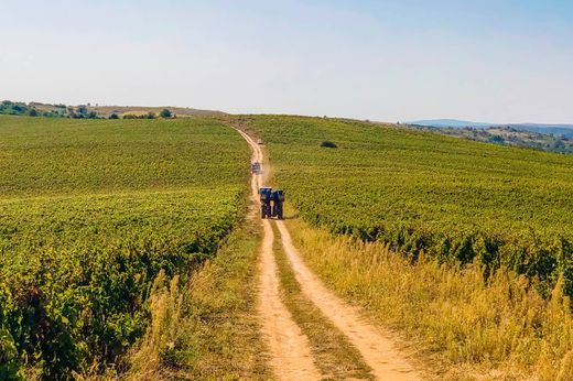 Propriété de campagne à Satu Mare, Municipiul Satu Mare