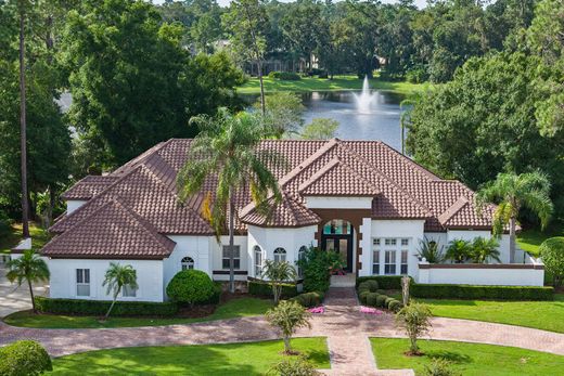 Lake Mary, Seminole Countyの一戸建て住宅