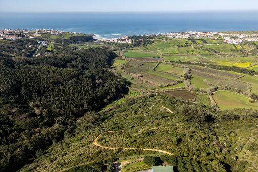 Land in Mafra, Lisbon