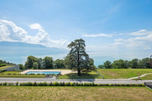 Daire Puidoux, Lavaux-Oron District