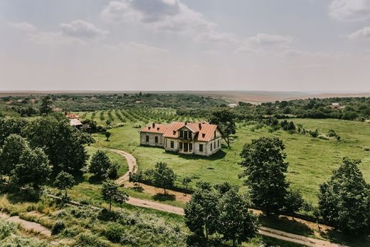 Lüks ev Dobra, Comuna Bălăciţa