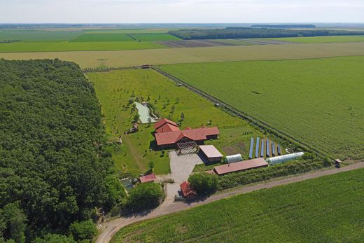 Propriété de campagne à Grădiştea, Comuna Grădiştea