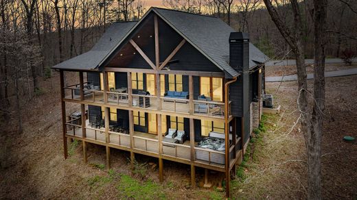 단독 저택 / Blue Ridge, Fannin County
