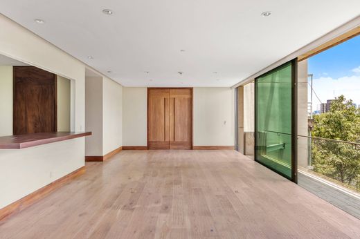 Polanco, Miguel Hidalgoのアパートメント