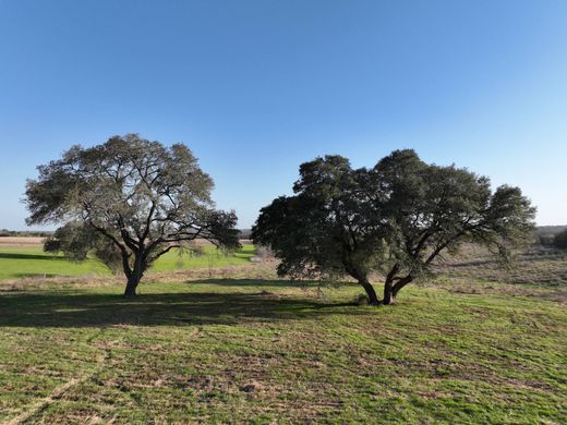 Αγροτεμάχιο σε Brenham, Washington County