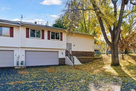 호화 저택 / Minneapolis, Hennepin County