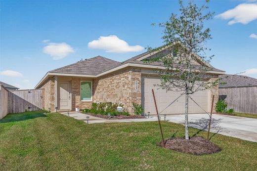 Luxury home in Katy, Harris County
