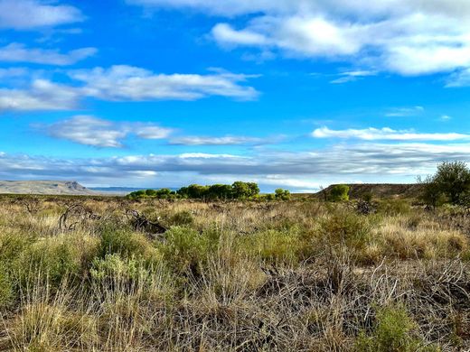 Country House in Marfa, Presidio County