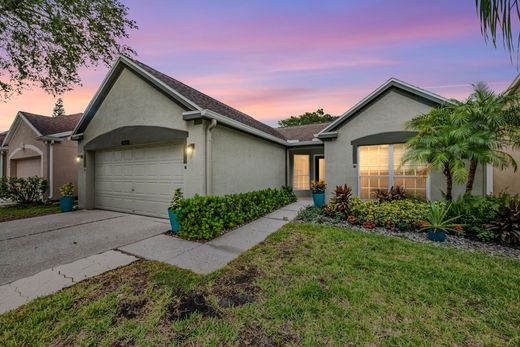 Detached House in Lutz, Hillsborough County