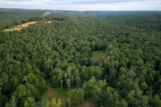 Terreno en Ferndale, Sullivan County