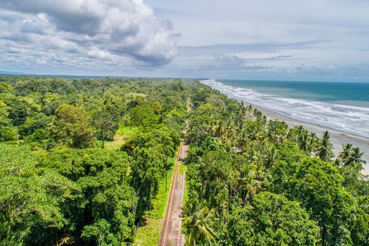 Teren w Limón, Cantón de Limón