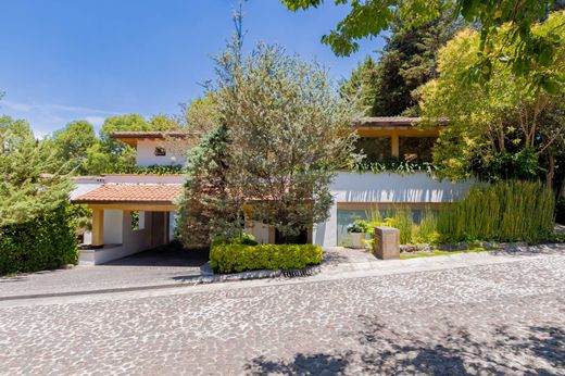 Detached House in Mexico City, The Federal District