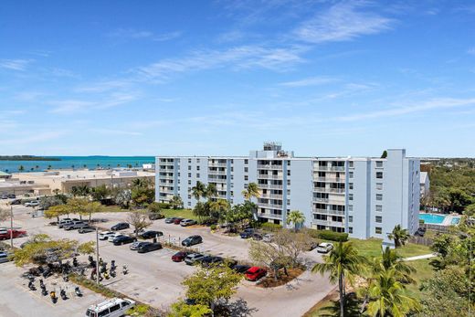 Key West, Monroe Countyの一戸建て住宅