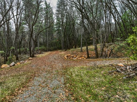 토지 / Nevada City, Nevada County