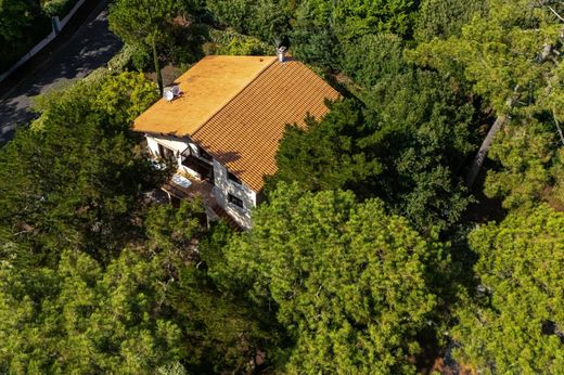 Maison individuelle à Arcachon, Gironde