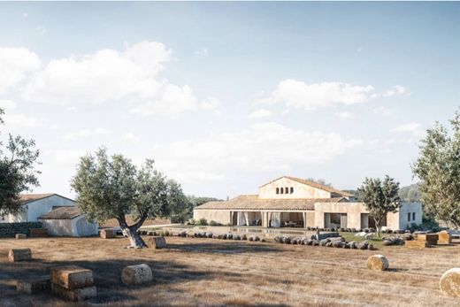 Arenal d'en Castell, Illes Balearsのカントリーハウス