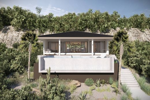 Vrijstaand huis in Dorp Sint Willebrordus