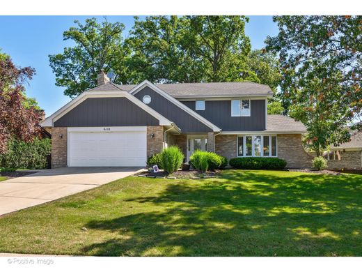 Einfamilienhaus in Tinley Park, Cook County