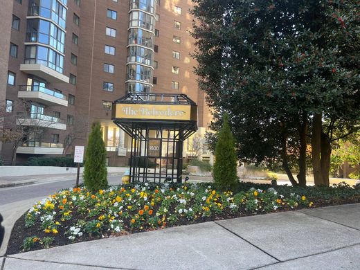 Luksusowy dom w Arlington, Arlington County