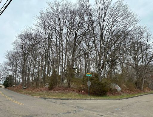 Arsa Madison, New Haven County