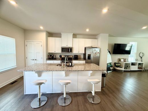 호화 저택 / Suffolk, City of Suffolk