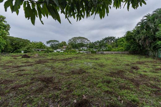 Terreno en Nosara, Nicoya
