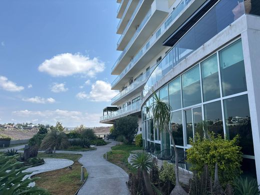 단독 저택 / Santiago de Querétaro, Querétaro