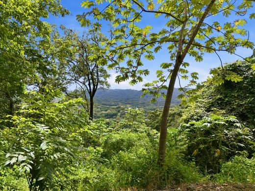 Land in Nosara, Nicoya