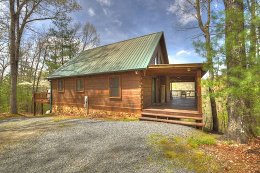 Casa Unifamiliare a Mineral Bluff, Fannin County
