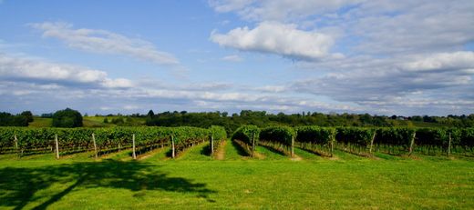 Ρουστίκ ή αγροικία σε Mauléon-d'Armagnac, Gers