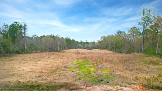 Hammond, Tangipahoa Parishの土地