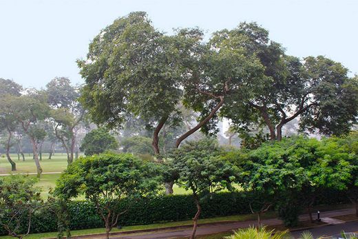 Appartamento a Lima, Departamento de Lima