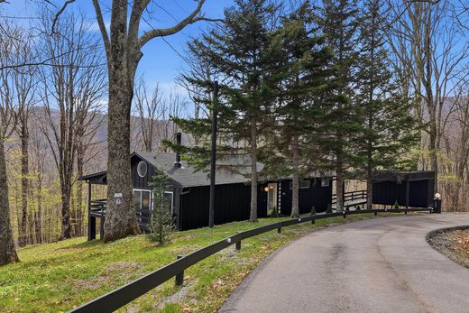 Detached House in Roan Mountain, Carter County