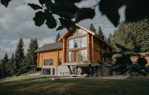 Detached House in Gersa I, Comuna Rebrişoara