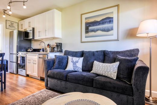 ﺷﻘﺔ ﻓﻲ Steamboat Springs, Routt County