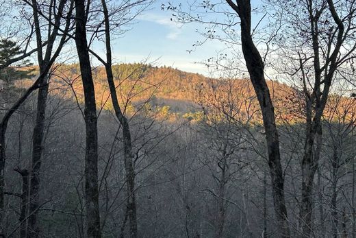 Detached House in Sapphire, Transylvania County