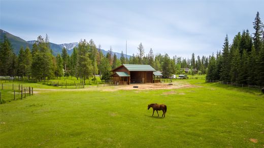 단독 저택 / Bigfork, Flathead County