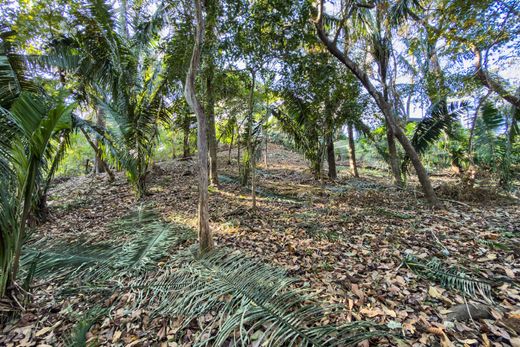 Land in Nosara, Nicoya