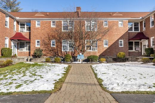 豪宅  White Plains, Westchester County