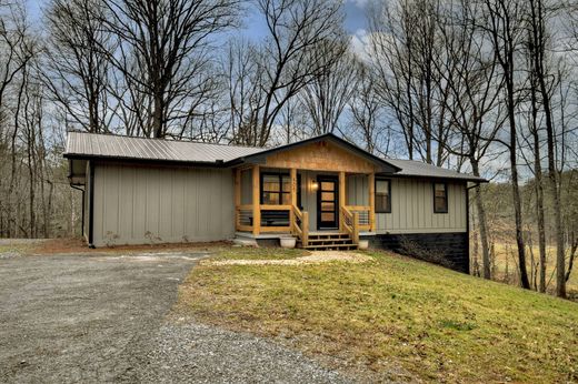 단독 저택 / Morganton, Fannin County