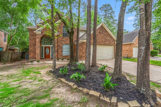 Luxury home in The Woodlands, Montgomery County