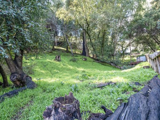 Land in Mill Valley, Marin County