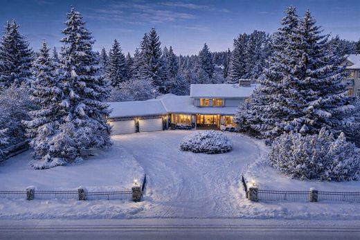 단독 저택 / Calgary, Alberta