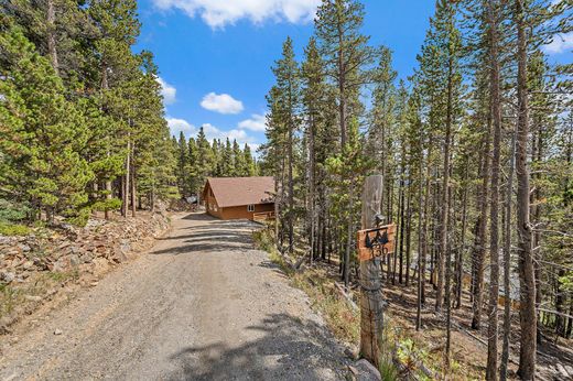 Müstakil ev Idaho Springs, Clear Creek County