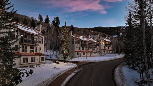 Dom miejski w Beaver Creek, Eagle County