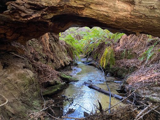 أرض ﻓﻲ Fort Bragg, Mendocino County