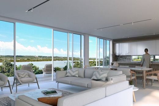 Dom jednorodzinny w Turtle Tail, Providenciales