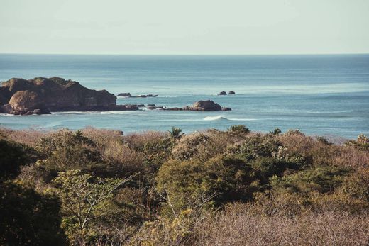 Land in Nosara, Nicoya