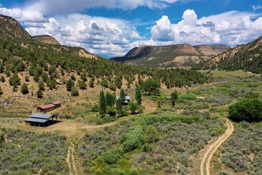 단독 저택 / Mancos, Montezuma County