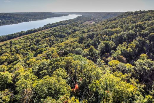 Arsa Foster, Bracken County